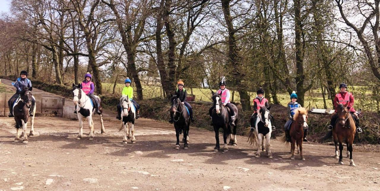 Wellsfield Farm Holiday Lodges Stirling Eksteriør billede