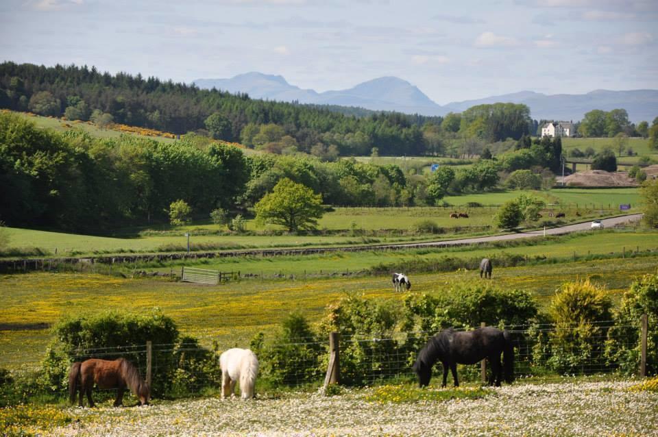 Wellsfield Farm Holiday Lodges Stirling Eksteriør billede