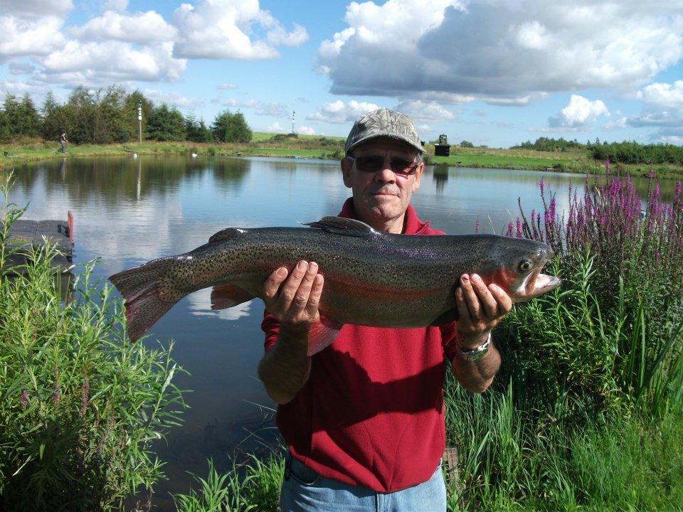 Wellsfield Farm Holiday Lodges Stirling Eksteriør billede